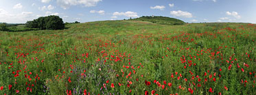 Somlyó Hill (Gyertyános) - Mogyoród, Ungern