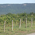 Gyöngyös, Hungary