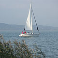 Sailboat on the Balaton - Fonyód, ハンガリー