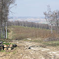 Bakony Mountains, 匈牙利