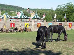 A site prepared for medieval knightly games, at the foot of the castle hill - Sümeg, Мађарска