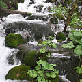 Plitvicei-tavak Nemzeti Park, Horvátország