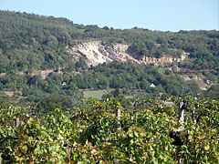 A stone pit (a mine) on the hillside, and in the foreground grapevines can be seen - Máriagyűd, Maďarsko