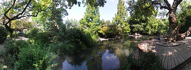 Margaret Island (Margit-sziget), Tiny lake - Budapeşte, Macaristan