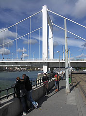 The Elizabeth Bridge, from the upper embankment of Pest - Budapeşte, Macaristan