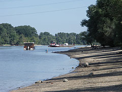 Bank of River Danube at Dunakeszi - Dunakeszi, Macaristan