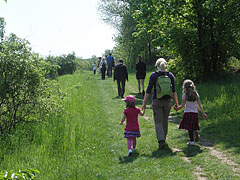 Walking from the buildings of the university to the site of the May Day event - Gödöllő, Macaristan