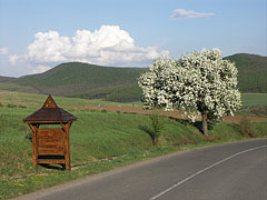 The border of the village with the Nógrád Hills and flowering fruit trees - Hollókő, Macaristan