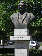 Bronze bust statue of Dr. Lajos Holló (1859-1918) local lawyer - Kiskunfélegyháza, Macaristan