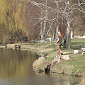 Gödöllő Hills (Gödöllői-dombság), Ungaria