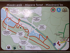 Map of the Miocene Forest - Ipolytarnóc, Ungaria