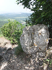 Limestone rock at the Fekete-kő rocks - Pilis Mountains (Pilis hegység), Ungaria