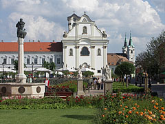 Park decorated with roses in the main square with the former Dominican Church ("Church of the Whites", Fehérek temploma), and in the distance the double steeples of the Piarist Church - Vác, Ungaria