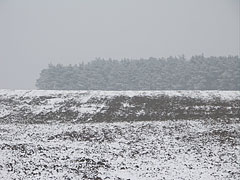 Snow-covered landscape in early spring - Velemér, Ungaria