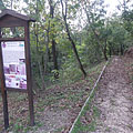 Educational nature trail, the "Wildlife of the Nagyberek region" station - Fonyód, Hungria