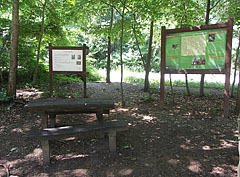 Small resting place in the forest at the Két-Bükkfa-nyereg (mountain ridge) - Pilis Mountains (Pilis hegység), Hungria