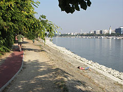 There is a rubbered (tartan) running track around the entire island - Budapest, Ungheria