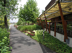 Shady-sunny footpath in the park behind the Café Ponyvaregény - Budapest, Ungheria