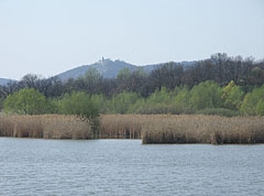 The smaller part of the Sinkár Lake withj reeds on its shore, and in the distance the Castle of Csővár on the hill can be seen - Csővár, Ungheria