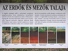 Station of the educational nature trail: "The soil of the forests and the fields" - Eplény, Ungheria