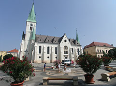 Cool fountain with oleanders in the center of the main square, and the Roman Catholic Episcopal Church - Kaposvár, Ungheria