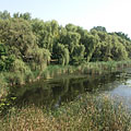 Kis-Balaton, Ungheria