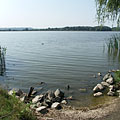 Kis-Balaton, Ungheria