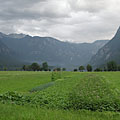 Lago di Bohinj (Bohinjsko jezero), Slovenia