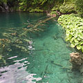 Parc national Plitvice, Croatie