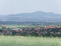 Outlook to the mountains on the other side of River Danube from the gentle slopes of Somlyó Hill - Mogyoród, Madžarska