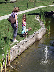 A small pond with even smaller fountain at the visitor center - Ipolytarnóc, Węgry