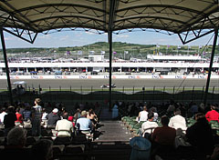 Super Gold grandstand - Mogyoród, Węgry
