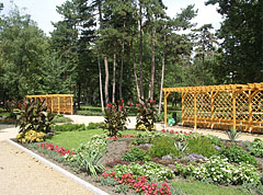 Flowerbeds with annual flowers and other plants - Siófok, Węgry