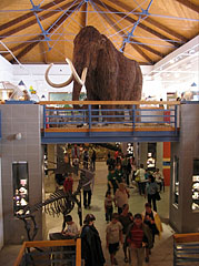 The two-story central hall of the museum with a mounted woolly mammoth - Будапеща, Унгария