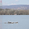 Dunakeszi, Унгария