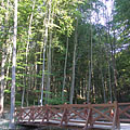 Salgótarján, Унгария
