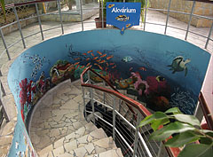 Spiral staircase, a way down from the Palm House to the Aquarium - Budapest, Ungarn