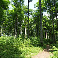 Pilis Mountains (Pilis hegység), Ungarn