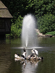 Great Lake, fountain - Boedapest, Hongarije