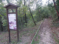 Educational nature trail, the "Wildlife of the Nagyberek region" station - Fonyód, Hongarije