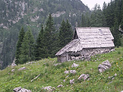  - Lake Bohinj (Bohinjsko jezero), Slovenië