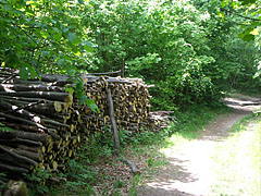  - Pilis Mountains (Pilis hegység), Hongarije