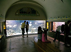 In the middle of the picture it is the larges fish tank of the Aquarium (23 000 liters) - Budapest, Ungari