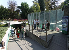 Way downto under the pool of the sea lions - Budapest, Ungari