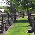 Gödöllő Hills (Gödöllői-dombság), Ungari