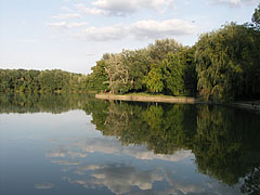 Reflections on the surface of Lake Cseke - Tata, Ungern