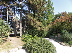 Japanese garden - Βουδαπέστη, Ουγγαρία