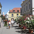 Pedestrian area with flowering oleander bushes - Győr, Ουγγαρία