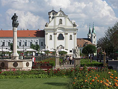 Park decorated with roses in the main square with the former Dominican Church ("Church of the Whites", Fehérek temploma), and in the distance the double steeples of the Piarist Church - Vác, Ουγγαρία