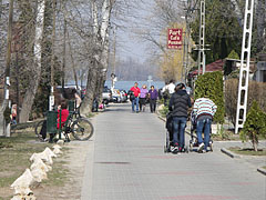 The spring sunlight lured many people to the riverside promenade to have a walk - Dunakeszi, Hungary
